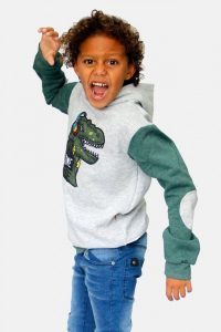buzo de algodon friza con estampa dinosaurio dilo tu ropa divertida para niños invierno 2018