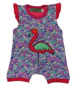 enterito cisne Naniabi verano 2019