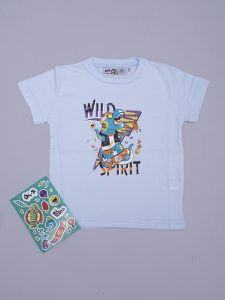 Remera dinosaurio para pegar stiker Pecosos verano 2019