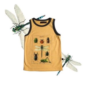 69878256 138670790688710 5161162217557388609 n