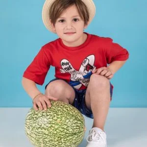 remeras mangas cortas para niños alpiste verano 2020 remeras mangas cortas para niños alpiste verano 2020