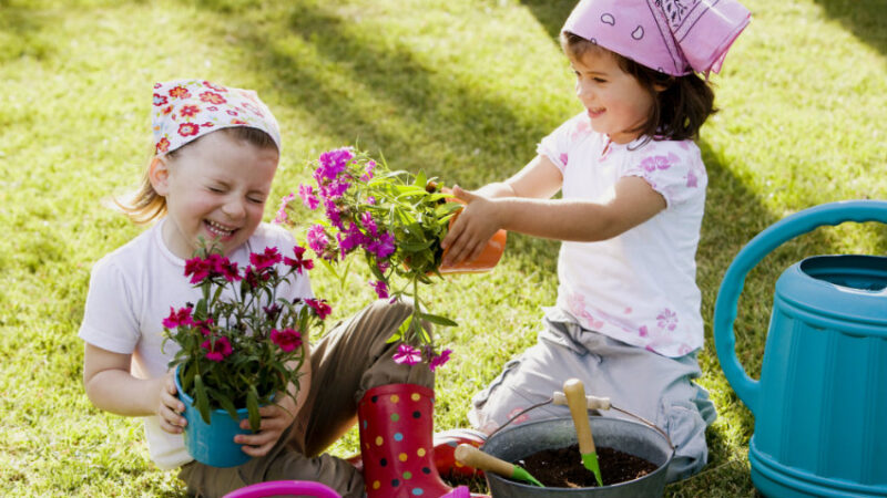 10 Actividades Creativas Y Divertidas De Jardinería Para Niños | Minilook