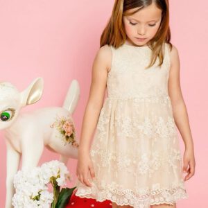 128108207 127044192352556 1414546407331447030 n