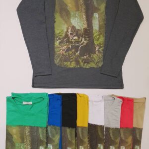 remera mangas largas dinosaurios remera mangas largas ninos hombre arana zizi basic invierno 2021