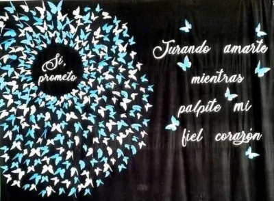 telon para juramento de la banedra argetnina