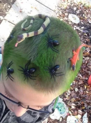 Peinado loco para niños con insectos Peinado loco para ninos con insectos