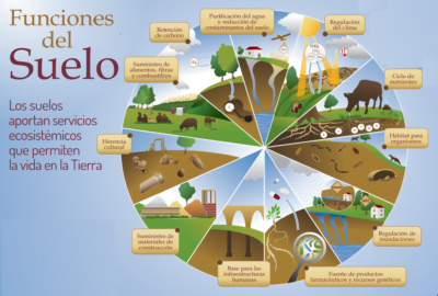 cartelera sobre funciones del suelo cartelera sobre funciones del suelo