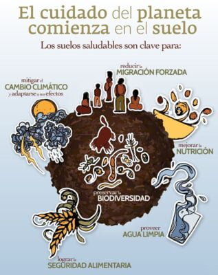 cartelera suelos saludables cartelera suelos saludables