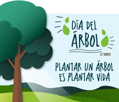 Banner dia del arbol