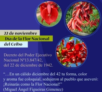 cartel del dia de la flor nacionale el cibo cartel del dia de la flor nacionale el cibo