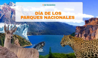 collage cartelera Dia de los parques nacionales collage cartelera Dia de los parques nacionales