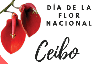 dia de la flor nacional el cibo dia de la flor nacional el cibo