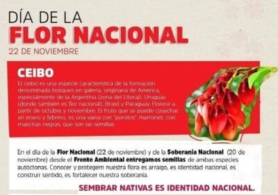 dia del la flor nacional el ceibo cartelera dia del la flor nacional el ceibo cartelera