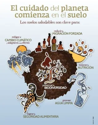 Ideas para carteleras Día Mundial del Suelo Ideas para carteleras Día Mundial del Suelo