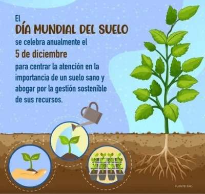 Poster Día Mundial del Suelo Poster Día Mundial del Suelo