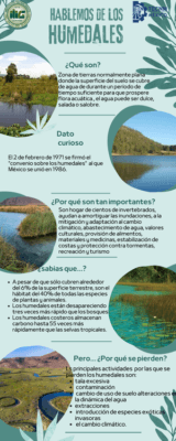 afiche informativo de los humedales afiche informativo de los humedales
