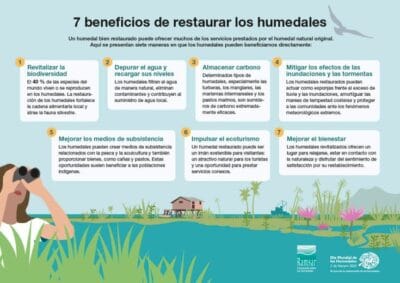 beneficios de los humedales beneficios de los humedales