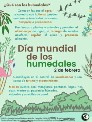 dia mundia de los humedales