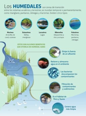 donde encontramos humedales donde encontramos humedales