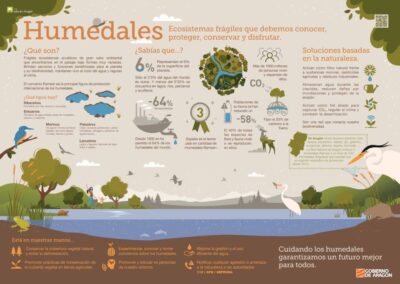 infografia de los humedales infografia de los humedales