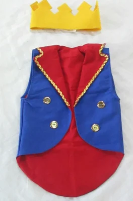 Disfraz facil del Principito para niños Dia del Libro Disfraz facil del Principito para niños Dia del Libro