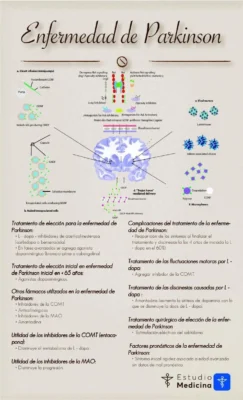 Infografia enfermedad de parkinson Infografia enfermedad de parkinson